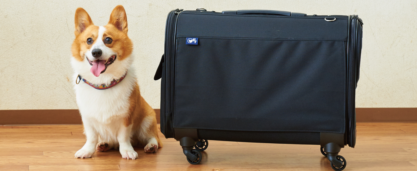 Amazon.co.jp: 【OFT】 キャリーバッグ NEW L 適応体重12kg オー
